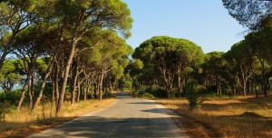 Paesaggio naturale nelle vicinanze of country house