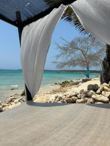バルにあるTequila SunBeach Baru Eco-Hotelのビーチパラソルからビーチの景色を望めます。