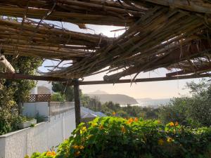 a wooden pergola over a garden with flowers at La caccetta in Procida