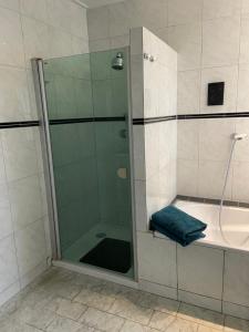 een douche met een glazen deur in de badkamer bij Rustig gelegen bungalow op Texel in Oosterend