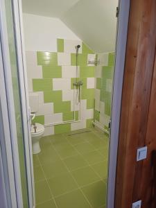 een groene en witte badkamer met een douche en een toilet bij Sătic Casa Maria in Sătic
