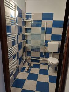a bathroom with a toilet and blue and white tiles at Sătic Casa Maria in Satic +20 photos