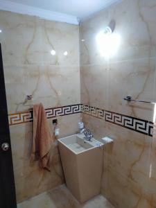 y baño con lavabo y ducha. en Balqees Cottage, en Lahore