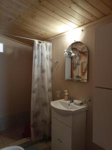 łazienka z umywalką i zasłoną prysznicową w obiekcie Ελαιώνας - Solar Energy House w mieście Chorefto