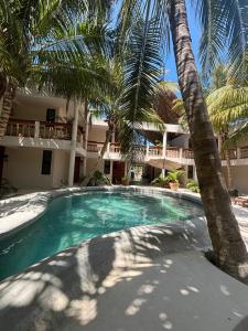 una piscina con una palmera frente a un edificio en Hotel Casa del Viento en Holbox Island