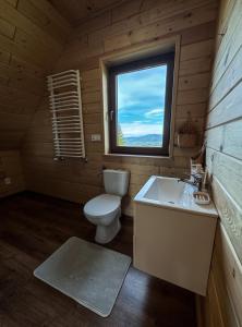 a bathroom with a toilet and a sink and a window at Domek Widokowy Tyniok in Koniaków +9 photos
