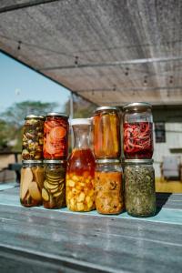 a group of jars of pickles on a table at Pupa House in Tamarindo