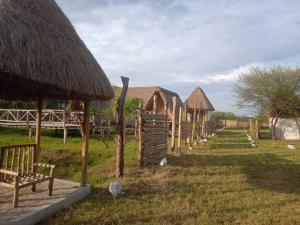 una fila de chozas en un campo con aves delante en Real African Life safaris and Camps, en Lukungu