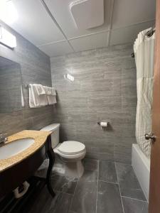 uma casa de banho com um WC, um lavatório e uma banheira em Budget Inn em Herkimer