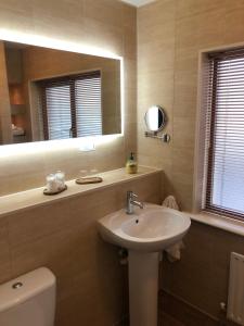 ein Badezimmer mit einem Waschbecken, einem WC und einem Spiegel in der Unterkunft Harbour View Bed & Breakfast in Castletownbere