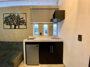 a kitchen with a sink and a couch in a room at Estudios Rios in Zamora de Hidalgo