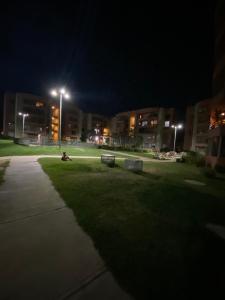 ロス・アンデスにあるDepartamento para 6 personas amobladoの芝生の上に座る人の夜の公園