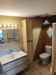 łazienka z umywalką, toaletą i lustrem w obiekcie F2 EXTERIEUR LIT KING SIZE w mieście Brives-Charensac