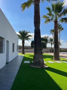 a group of palm trees next to a building at Villa Elche in Elche