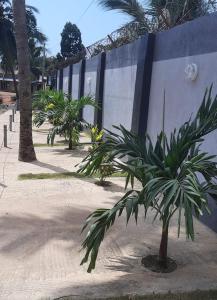 una fila de palmeras delante de una pared en Château angele w&b, en Lomé