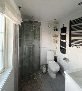 阿爾維卡的住宿－Solhem Terrassen，带淋浴和卫生间的白色浴室