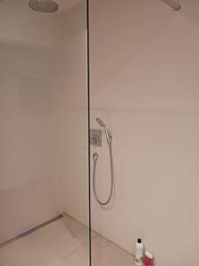 La salle de bains est pourvue d'une douche et d'une porte en verre. dans l'établissement Suite Kursaal met zeezicht, à Ostende