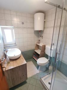 een badkamer met een toilet, een wastafel en een douche bij Apartment N&M (Natasa and Milan) in Omišalj