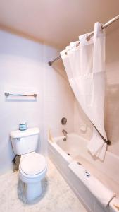 a white bathroom with a toilet and a bath tub at Rodeway Inn in Helena