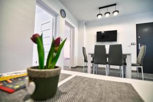 Televízia a/alebo spoločenská miestnosť v ubytovaní Apartamenty Izabell by Housine