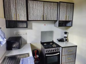 eine kleine Küche mit einem Herd und einer Mikrowelle in der Unterkunft Mupa's Luxury Condo I in Nyahururu