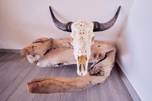 Animals a la vil·la o a prop