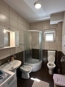 e bagno con doccia, servizi igienici e lavandino. di Vila Sekulić a Podgorica