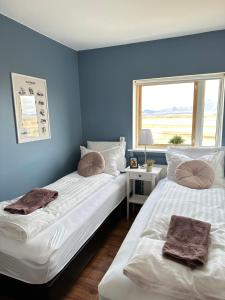 two beds in a room with blue walls and a window at Selið Farm Stay - Guesthouse 