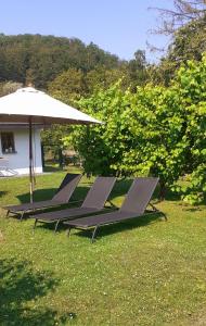 Táj Show homestays közelében