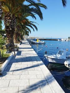 a dock with palm trees and boats in the water at Alex house Thassos in Skala Sotiros
