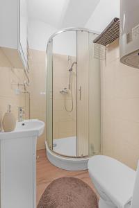 a bathroom with a shower and a toilet and a sink at Vilnius Old Town apartment in Vilnius