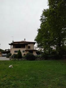 a dog laying in the grass in front of a house at Villa Amelia in Bracciano