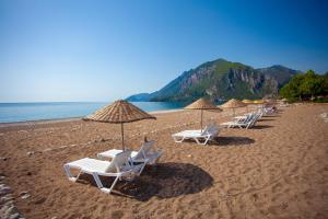 Fotografie z fotogalerie ubytování Baris Pension & Bungalows v destinaci Çıralı