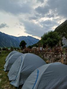 two tents in a field with mountains in the background at GUREZ CAMPSITE- WILDWOOD in Kanzalwan