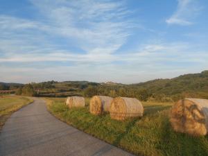 Paesaggio naturale nelle vicinanze dell'appartamento