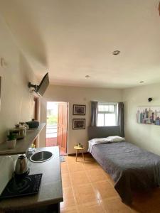 阿雷基帕的住宿－Deluxe Apartments in Arequipa Downtown，一间卧室配有一张床和一张带水槽的书桌