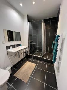 un bagno con doccia, lavandino e WC di Grand gîte Gastes a Gastes Altre 17 foto