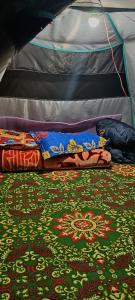 a bed in a tent with a rug at GUREZ CAMPSITE- WILDWOOD in Kanzalwan