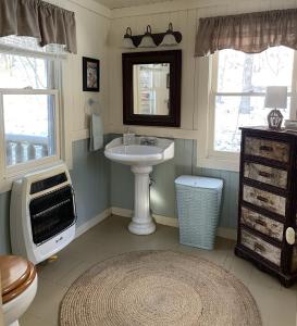 a bathroom with a sink and a mirror at Cozy Cottage on Pond in Great Valley