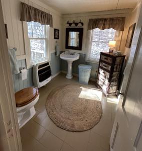 a bathroom with a toilet and a sink at Cozy Cottage on Pond in Great Valley