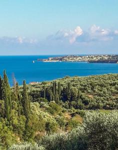 Φυσικό τοπίο κοντά σε αυτή η παραθεριστική κατοικία +13 φωτογραφίες