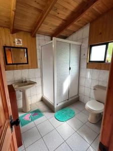 a bathroom with a shower and a toilet and a sink at Parcela Peumayen in Licán Ray