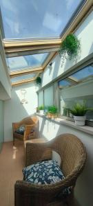 un giardino d'inverno con sedie, tavoli e finestre in vimini di Apartamento Loft Mar&Pol a Palafrugell