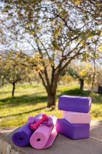 un par de esterillas de yoga púrpura y un montón de libros en Οlives and Vines all seasons villa en Litochoro