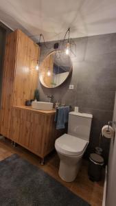 une salle de bain avec toilettes, lavabo et miroir dans l'établissement Căsuța din povești, à Reci 61 autres photos