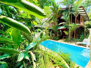 uma piscina num jardim com árvores e uma casa em Casa Elita - Tranquil Escape with Pool, Jacuzzi, AC em Puerto Viejo