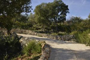 a stone wall next to a road with trees at Casa Imayah in Noto