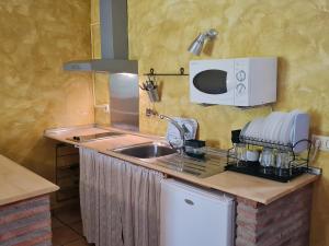 cocina con fregadero y microondas en Apartamentos Rurales Candela en Cañamero