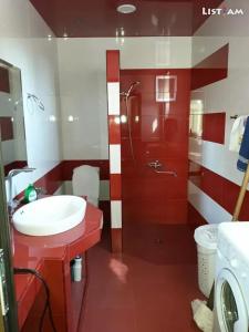 ein rot-weißes Bad mit einem Waschbecken und einer Dusche in der Unterkunft House Mary in Stepanawan