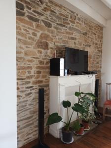 a living room with a stone wall and plants at la vie est belle in Clohars-Carnoët